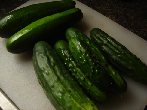first cukes and zukes